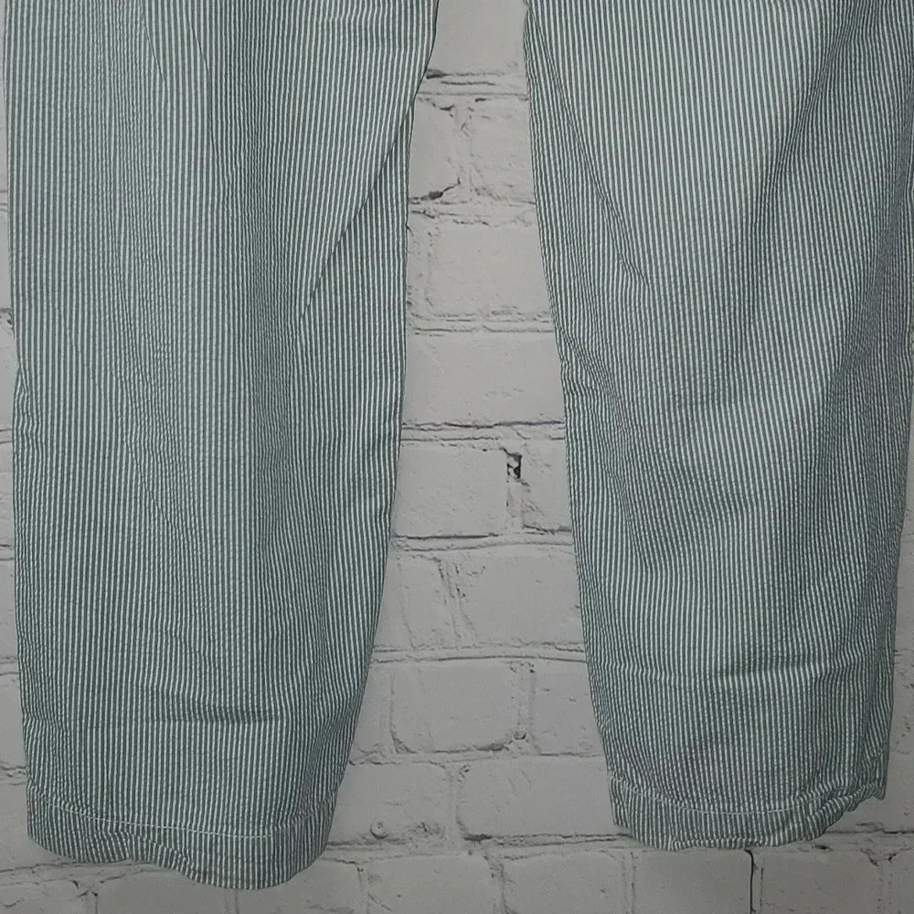 American Eagle Outfitters Classic Fit Flat Front Blue Pin Stripe Chinco Pants - Picture 4 of 12
